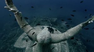 Фридайвинг, красивое видео