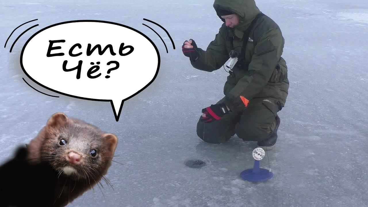 НАГЛАЯ МОРДА НА РЫБАЛКЕ! Жор Щуки по первому льду. Зимняя Рыбалка