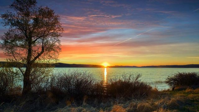 755. ♫..Chopin- "Prelude In e Minor Opus 28" - Ivan Ilić смотреть онлайн