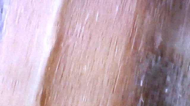 запрет ЗЕРНА укр товаров в ВОСТОЧ И ЮЖ Европе Май 23 смотреть онлайн