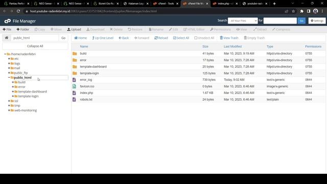 Upload Project Laravel pada cPanel + Monitoring Server Gratis di Biznet Gio смотреть онлайн