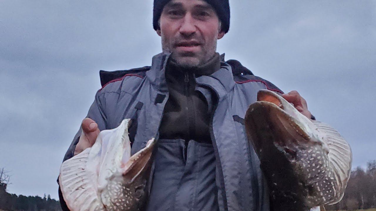 ЗДЕСЬ ЩУК МЕШКАМИ ЛОВЯТ.РЫБАЛКА НА РЕКЕ ТАЗ.ДЕНЬ ВТОРОЙ.РАЗДАЧА. смотреть онлайн