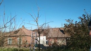 Как обрезать яблоню ВЕРЕТЕНОМ грамотно? Узнай 3 ПРАВИЛА!