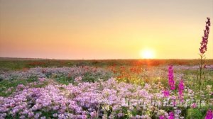 Овдовев, Люда решилась разобрать вещи мужа на чердаке. Она чуть не поседела, увидев…