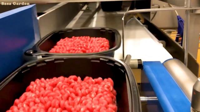 12800 Satisfying Videos Modern Food Technology Processing Machines That Are At Another Level ▶2 смотреть онлайн