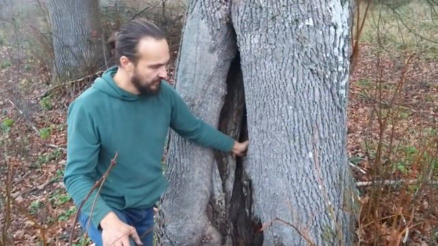 Липовая жизнь. Часть 2 смотреть онлайн