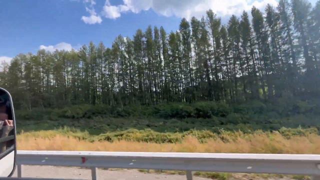 Обучение по бровям 💕18 лет сестре Вике🫢День города в Екб ✨Обучение по ресницам и отзыв Тани 🥹 смотреть онлайн