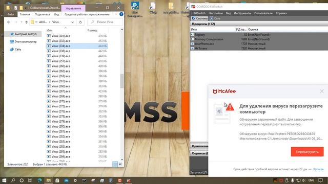 Тестирование McAfee Total Protection 16.0.R32 смотреть онлайн