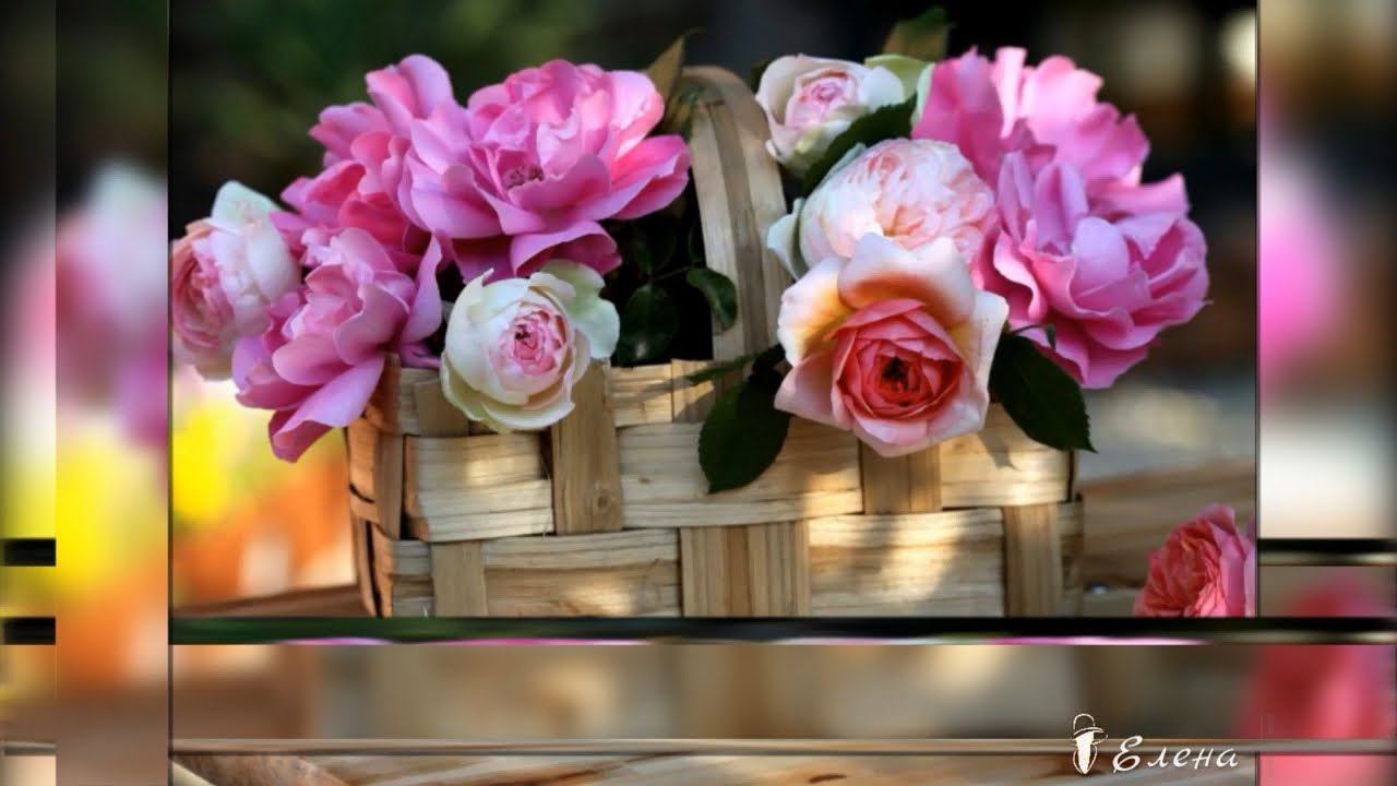 Прекрасные цветы на фото  *