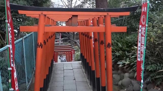 Япония. Январский сад пионов. Храмы парка Уэно в Токио смотреть онлайн