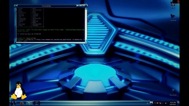 Cygwin SQL Injection Windows 7 смотреть онлайн
