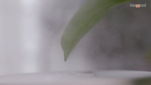 BlitzWolf BW-SH1 2.5L Ultrasonic Humidifier Essential Oil Diffuser |Buy from Banggood смотреть онлайн