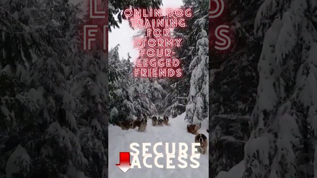 Online Dog curse 3 смотреть онлайн