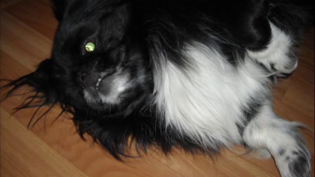 манюся смотреть онлайн