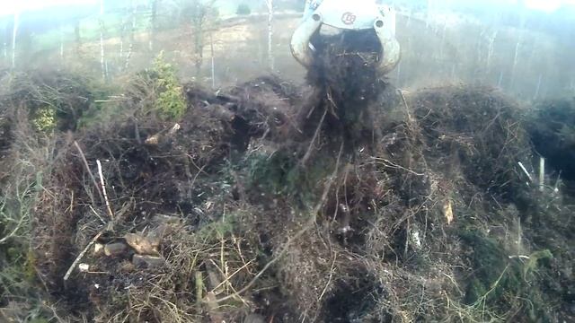 Doppstadt DZ 750 shredding green waste смотреть онлайн