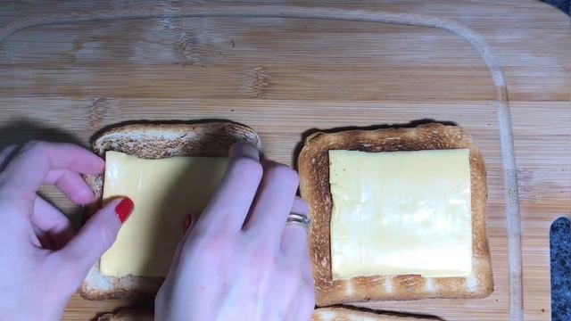 Зоопарк и Дикие Животные