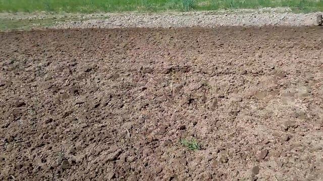 Мотоблок Беларус -09Н-02 . Сам пашет.Вспашка огорода под плуг. смотреть онлайн