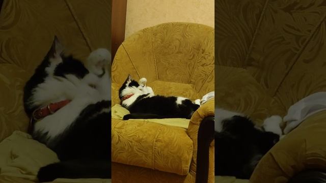 Ди Каприо дома