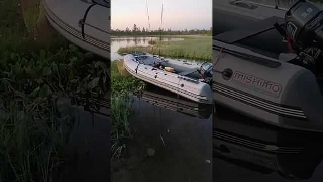 отзыв о Mishimo Lite 390