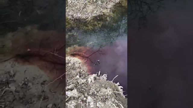 В реку Мысхако хлынули потоки канализации смотреть онлайн