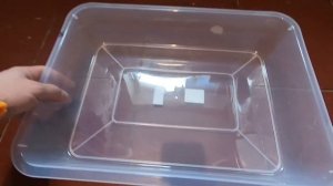 Содержание и разведение мышей. Просто, дёшево и без лишних хлопот