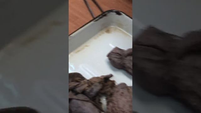 Мужская половая система. Часть 1 смотреть онлайн