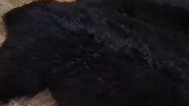 КОВЕР ИЗ ЧЕТЫРЕХ ЧЕРНО-КОРИЧНЕВЫХ ОВЧИН (КОД: 4045) смотреть онлайн