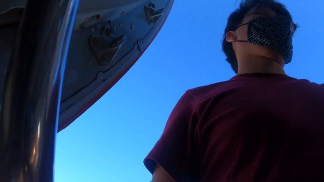 Rex Airlines Saab 340 Sydney to Canberra Flight Review + visiting the Rex Lounge Sydney смотреть онлайн