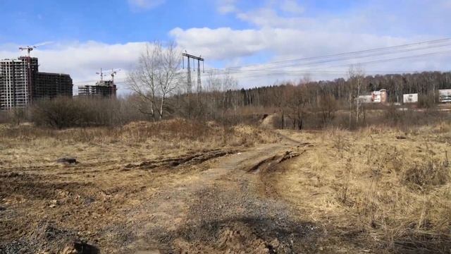 г. МЫТИЩИ. Медведковский лесопарк. Прогулка с с Evgenычем. смотреть онлайн