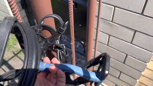 Лошадиные покупки. Купила трензель пластиковый Mullen Sensitive Bit от Acavallo. Лошадь не оценила. смотреть онлайн