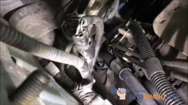 Дом, чистый дом