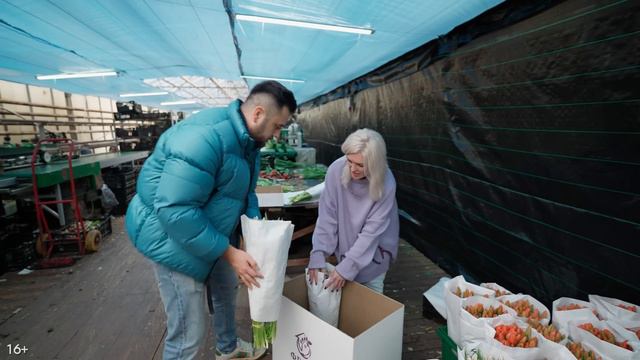 Бизнес на тюльпанах. Выращивание тюльпанов. Тепличный бизнес смотреть онлайн
