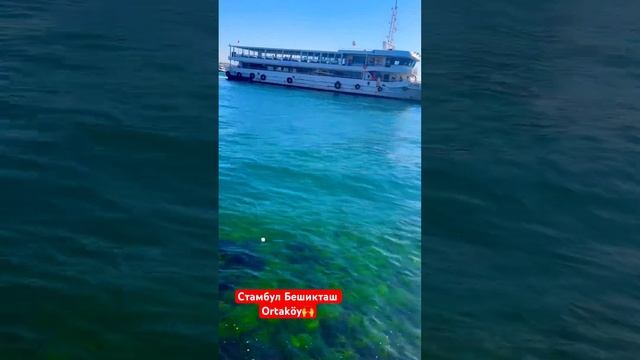СТАМБУЛ БЕШИКТАШ ORTAKÖY/ТУРЦИЯ♥️ #турция2023 #стамбул #istanbul #путешествия смотреть онлайн