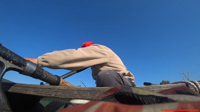 Сазан на кивок смотреть онлайн