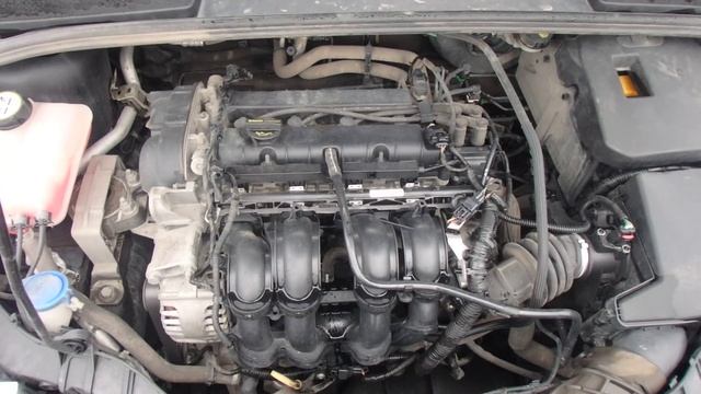 Двигатель Ford для Focus III 2011 после смотреть онлайн