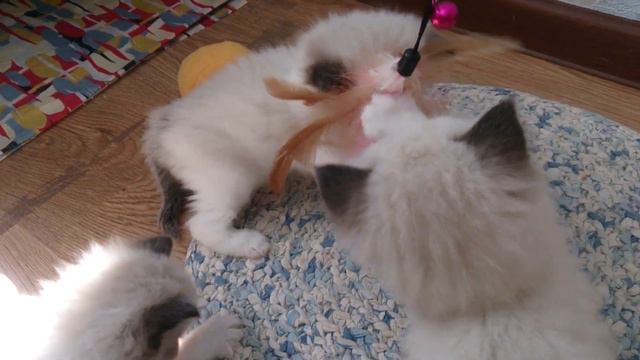 Мальчик и девочка с "косыночкой" смотреть онлайн