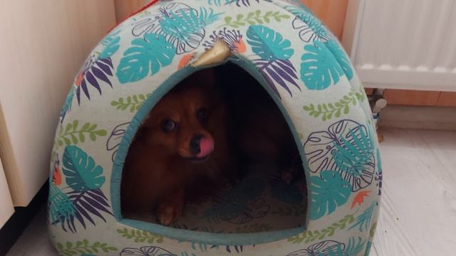 Адам и Ева в одном домике