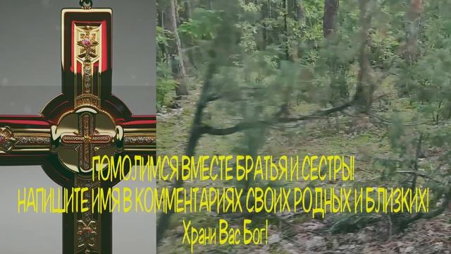 ?Молитва СЕГОДНЯ ПОСЛУШАЙ РАЗ ЭТУ МОЛИТВУ и Бог защитит Вас от всяких бед на весь год.? смотреть онлайн