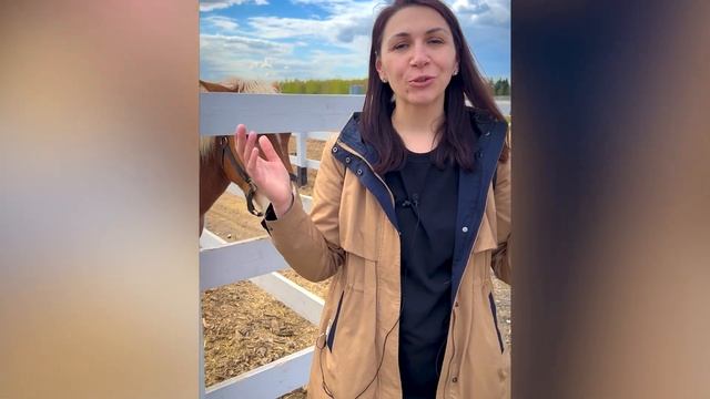 ? Места / Обзор экопарка «Акварель», Беларусь / Путешествия по Беларуси смотреть онлайн