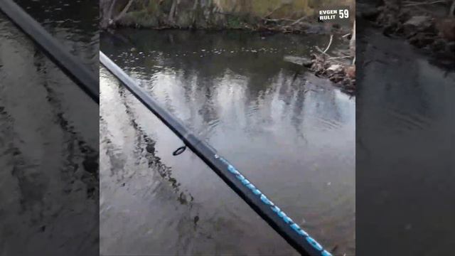 Закрываю сезон,поплавковой удочки...октябрь 2021,р.Лысьва. смотреть онлайн