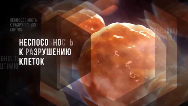Краудинвестинг INVINIMA Презентация смотреть онлайн
