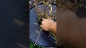 Траворезка. самоделка. бюджетная и эффективная. Для тех кто не олигарх:)