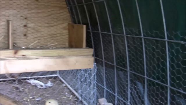 $50 Chicken Hoop House by HPFirearms смотреть онлайн