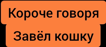 Короче говоря завёл кошку!
