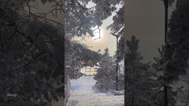 город Зея. Амурская Область смотреть онлайн