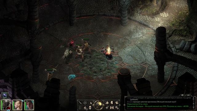 Pillars of Eternity / Ranger solo walkthrough / Силант Лиис / Part 3 смотреть онлайн