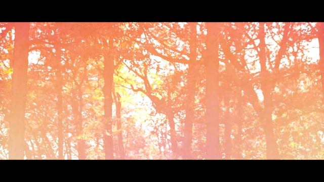 Twin Turbo Infiniti G37s - Jared Snow - PART 1 смотреть онлайн