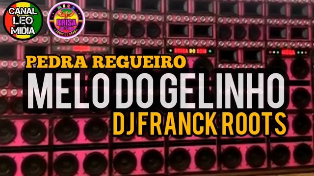 MELO DO GELINHO EXCLL MEGA BRISA DO SOM DJ FRANK ROOTS (Canal Léo Mídia Oficial) смотреть онлайн