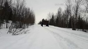 Пробую вологодский .Каракат по глубокому снегу.