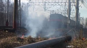 Сапсан Поезда 2010-04-10
